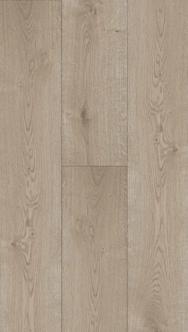 Arena hardwood swatch